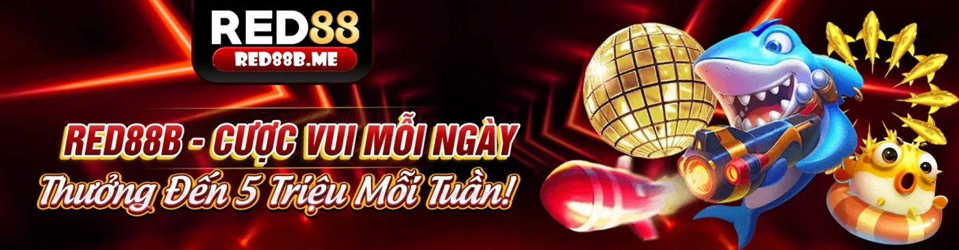Khuyến Mãi Hấp Dẫn Đá Gà Thomo Hôm Nay