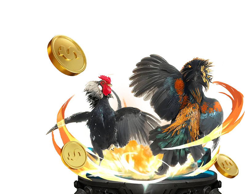 Văn Hóa và Lịch Sử Đấu Gà Thomo